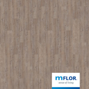 MFLOR Argyll Fir Greyfriars