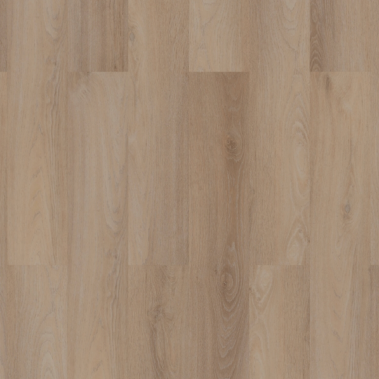 Room5 - Royale Champagne Rechte Plank