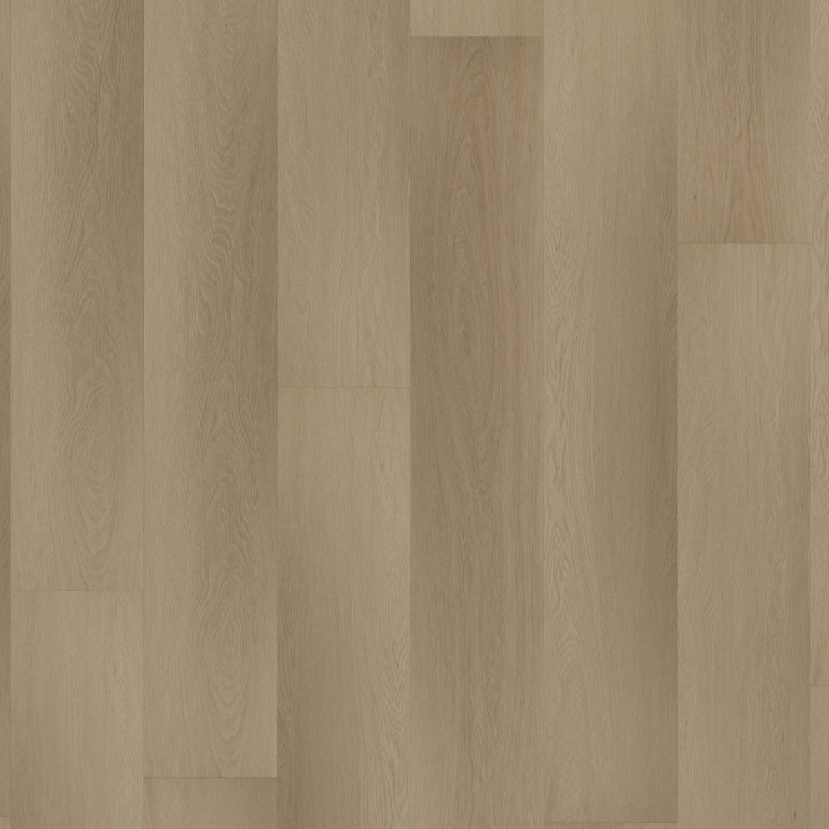 Room5 - Charming Suite Rechte Plank