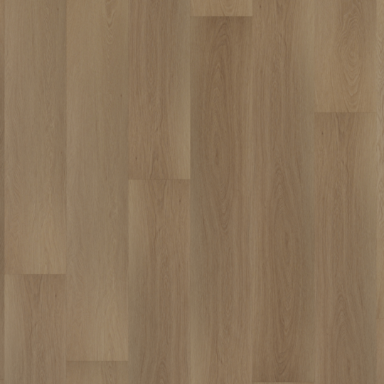 Room5 - Regency Wood Rechte Plank